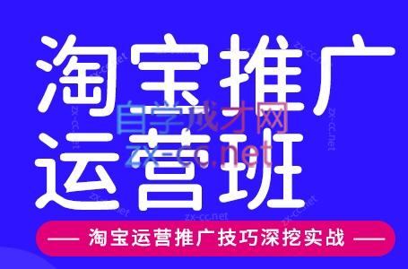 美迪电商·淘宝高级运营班+推广运营班(更新9月)-好游戏网创分享平台