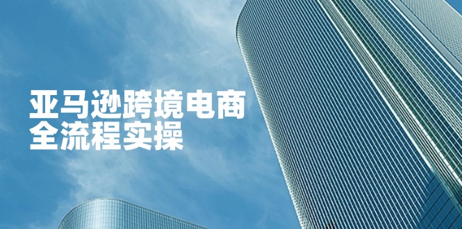 (14252期)亚马逊跨境电商全流程实操,教你从零开始,掌握店铺运营与广告技巧-好游戏网创